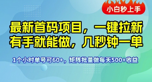 最新首码项目，一键拉新有手就能做，几秒钟一单，1个小时单号可60+，矩阵批量做每天5张【揭秘】 - 小白项目网-小白项目网
