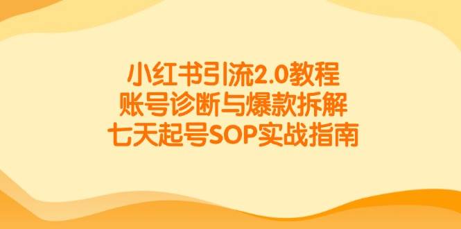 小红书引流2.0教程，账号诊断与爆款拆解，七天起号SOP实战指南-小白项目网