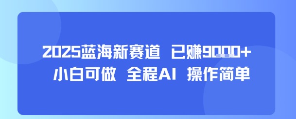 2025蓝海新赛道 已挣9k+ 小白可做 全程AI 操作简单-小白项目网