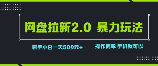 网盘拉新2.0暴力玩法，新手小白一天轻松5张，操作简单-小白项目网