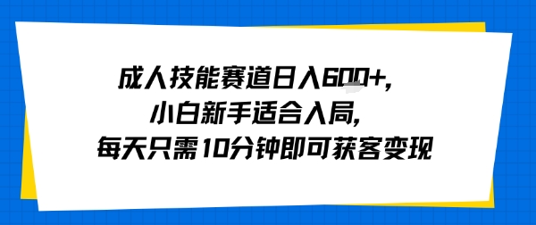 成人技能赛道日入多张，小白新手适合入局，每天只需10分钟即可获客变现-小白项目网