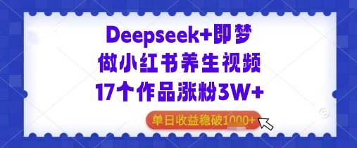 Deepseek+即梦做小红书养生视频17个作品涨粉3W+单日收益几张-小白项目网