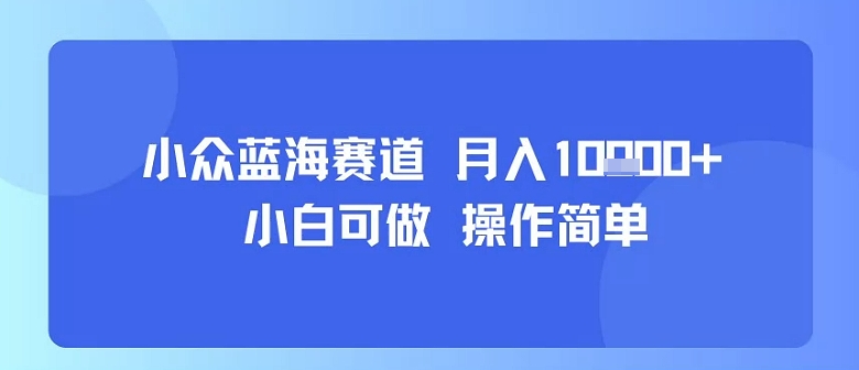 小众蓝海赛道，小白可做，操作简单，每天30分钟，月入1W+-小白项目网