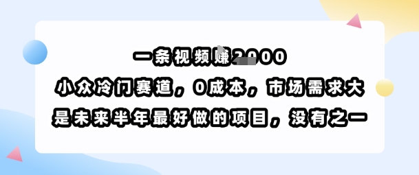 一条视频挣1k，小众冷门赛道，0成本，市场需求大，是未来半年最好做的项目，没有之一-小白项目网