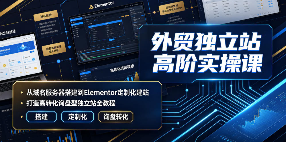 外贸独立站高阶实操课|从域名服务器搭建到Elementor定制化建站,打造高转化询盘型独立站全教程-小白项目网