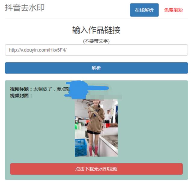 抖音在线去水印网站PHP源码-小白项目网
