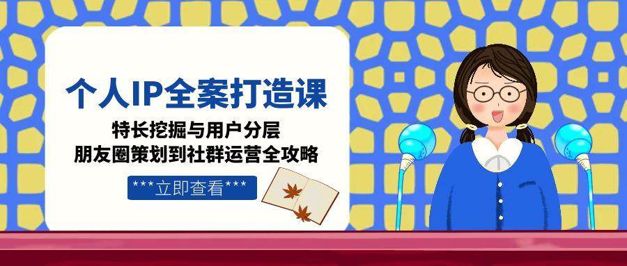 个人IP全案打造课，特长挖掘与用户分层，朋友圈策划到社群运营全攻略-小白项目网