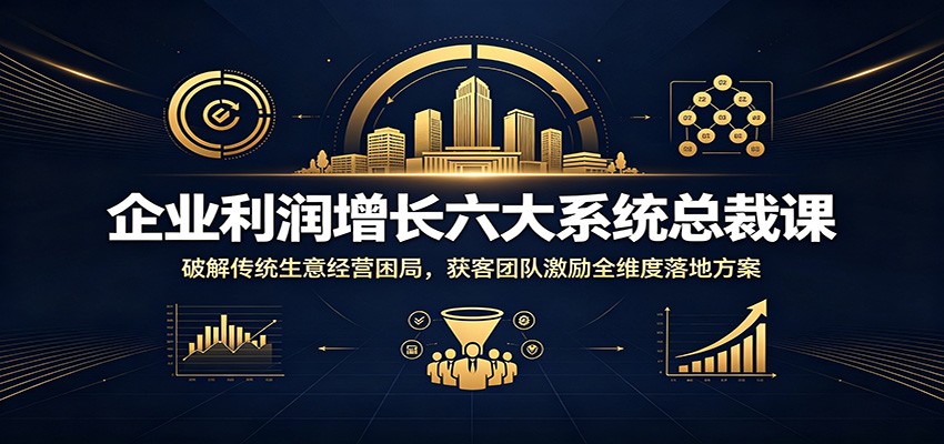 企业利润增长六大系统总裁课:破解传统生意经营困局,获客团队激励全维度落地方案-小白项目网