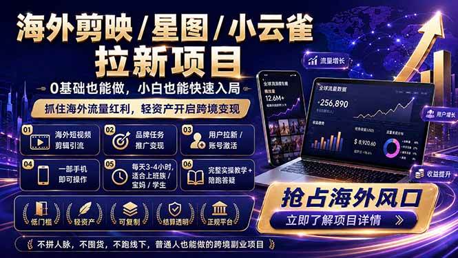 (18567期)海外剪映 / 星图 / 小云雀拉新项目 普通人也能上手的跨境流量变现副业-小白项目网