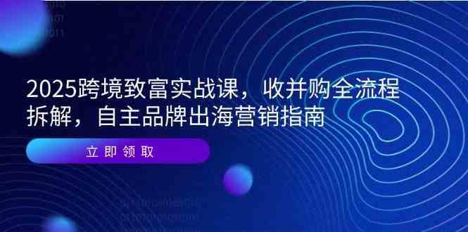2025跨境致富实战课，收并购全流程拆解，自主品牌出海营销指南-小白项目网