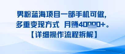 8月新男粉蓝海项目一部手机可做，多重变现方式 月入4W+【详细操作流程拆解】 - 小白项目网-小白项目网