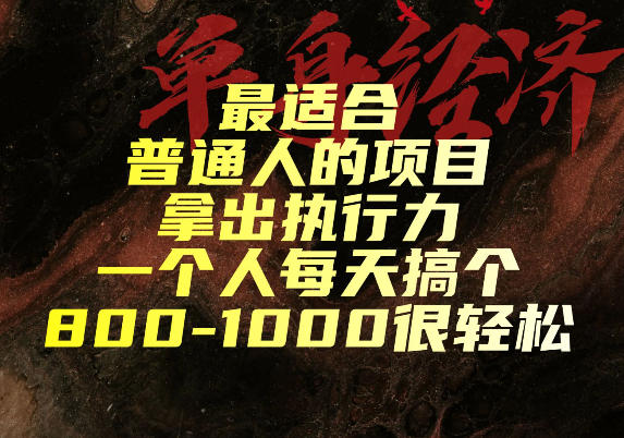 最适合普通人的项目，拿出执行力一个人每天搞个800-1k很轻松【揭秘】-小白项目网
