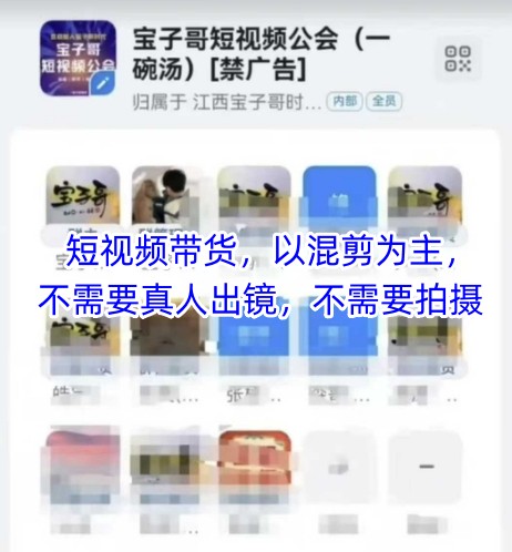 宝子哥头部团队短视频带货，以混剪为主，不需要真人出镜，不需要拍摄【更新】 - 小白项目网-小白项目网