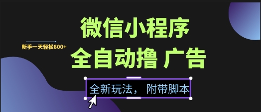 微信小程序全自动撸广告项目，彻底解决没流量的问题，新手一天8张+【揭秘】-小白项目网