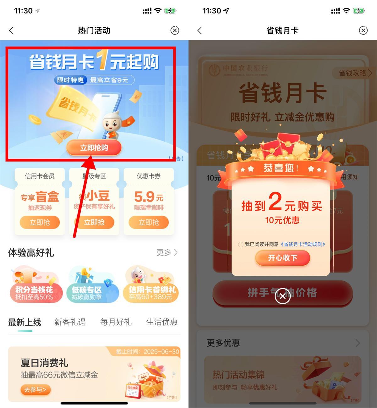 农行省钱月卡1元购10元立减金-小白项目网