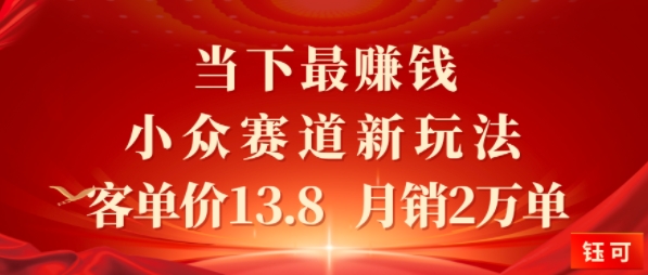 当下最挣钱的小众赛道 小红书新玩法10个作品涨粉3W，客单价13.8 月销2W单-小白项目网