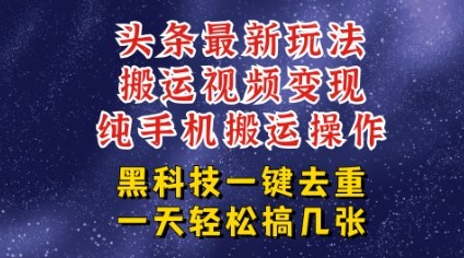 今日头条纯搬运玩法，轻松过原创不违规，轻松日入三位数，稳的很-小白项目网