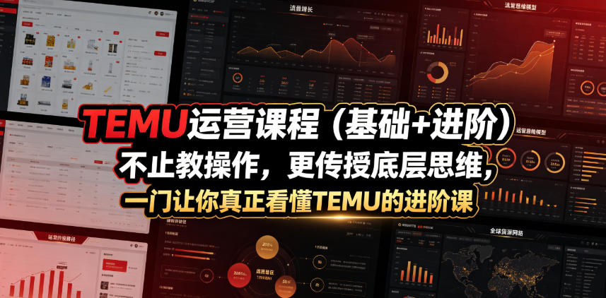 TEMU运营课程（基础+进阶），不止教操作，更传授底层思维，一门让你真正看懂TEMU的进阶课-小白项目网