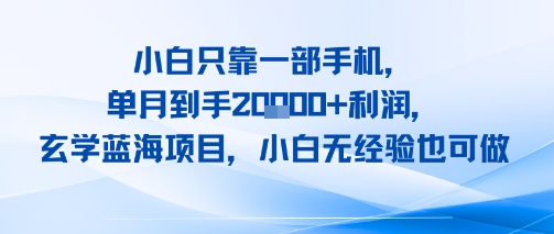 小白只靠一部手机，单月到手2W+利润，玄学蓝海项目，小白无经验也可做 - 小白项目网-小白项目网