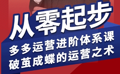 拼多多运营进阶系统课，从零起步，多多运营进阶体系课，破茧成蝶的运营之术-小白项目网
