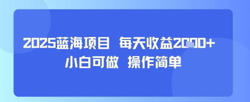 2025蓝海项目 每天收益多张 小白可做 操作简单-小白项目网