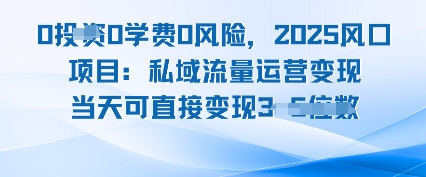 0学费0风险，2025风口项目：私域流量运营变现，当天可直接变现-小白项目网
