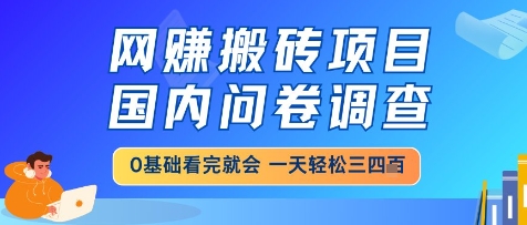网创搬砖项目，国内问卷调查，小白轻松上手，一天三四张的也不难，干就完了【揭秘】-小白项目网