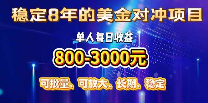 （15782期）稳定8年的美金对冲创业项目，单人每日收益800-3000，小众暴力项目-小白项目网