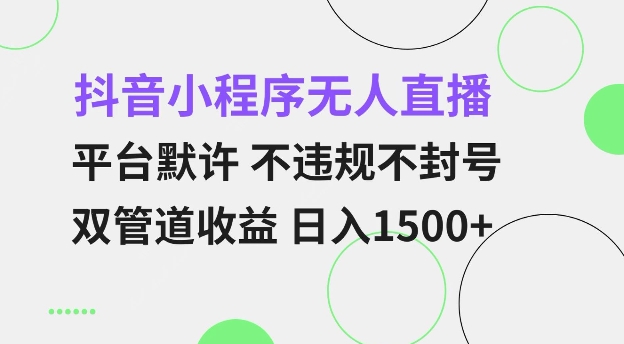 抖音小程序无人直播 平台默许 不违规不封号 双管道收益 日入多张 小白也能轻松操作【仅揭秘】-小白项目网