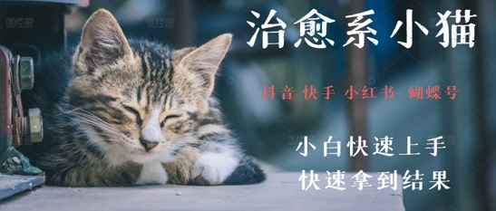 拆解,疯狂火爆!抖音,小红书,视频号小猫治愈的视频,轻松制作+快速拿到结果