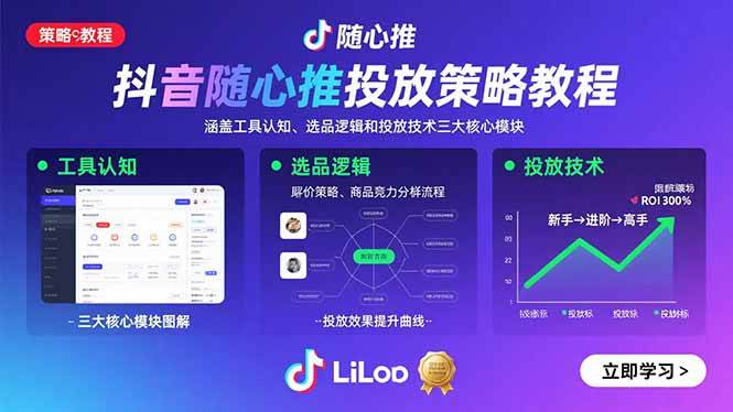 （15828期）抖音随心推投放策略教程：涵盖工具认知、选品逻辑和投放技术三大核心模块-小白项目网