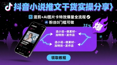 抖音小说推文干货实操分享，混剪+AI图片卡特效爆量全流程，0粉丝0门槛可做-小白项目网