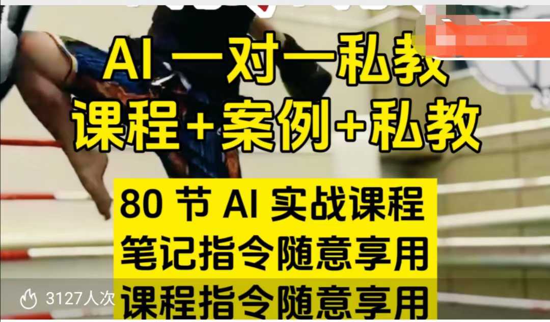 AI指令实战课，课程+案例，80节AI实战课程，笔记指令随意享用，课程指令随意享用（更新7月）-小白项目网