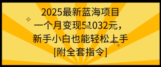 2025最新蓝海项目一个月变现1w+新手小白也能轻松上手【附全套指令】-小白项目网