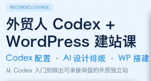 大卫·外贸人Codex + WordPress建站课(更新8月)-小白项目网