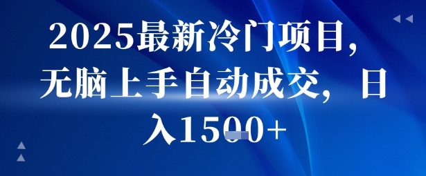 2025最新冷门项目，无脑上手自动成交，日入多张-小白项目网
