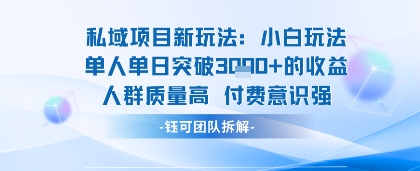 私域项目新玩法小白玩法单人单日突破1k的收益人群质量高付费意识强-小白项目网