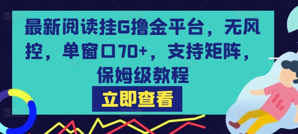 最新阅读挂G撸金平台，无风控，单窗口70+，支持矩阵，保姆级教程【揭秘】-小白项目网