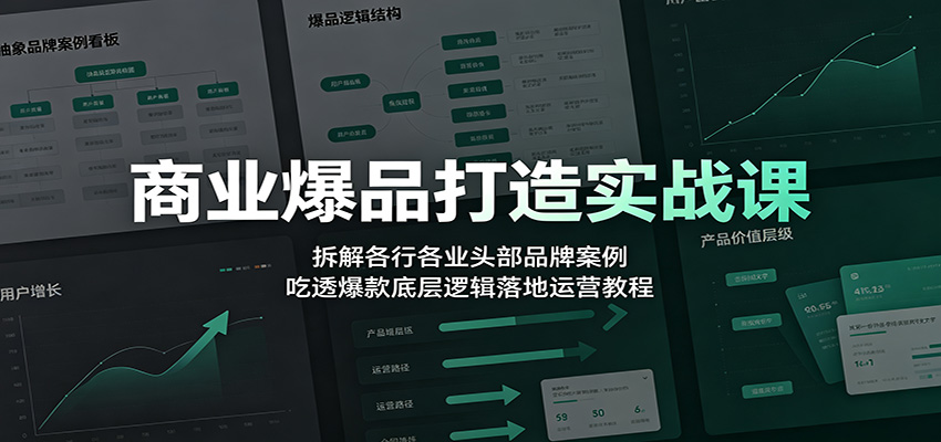 商业爆品打造实战课：拆解各行各业头部品牌案例，吃透爆款底层逻辑落地运营教程-小白项目网