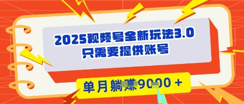 2025年视频号全新玩法3.0，操作爆款门槛低， 团队赋能，单月入9k-小白项目网